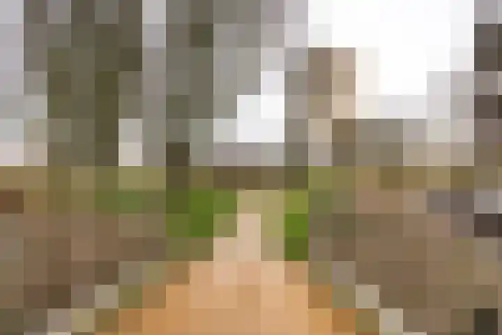 Spijkerboorweg 369 Haarlem thumbnail 21