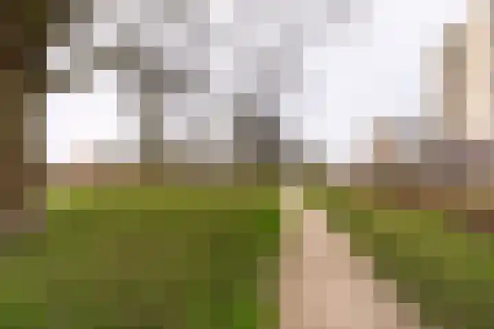 Spijkerboorweg 369 Haarlem thumbnail 22