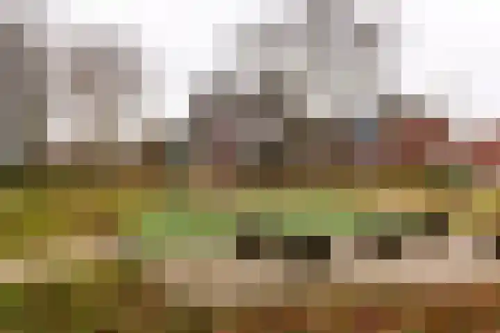 Spijkerboorweg 369 Haarlem thumbnail 23