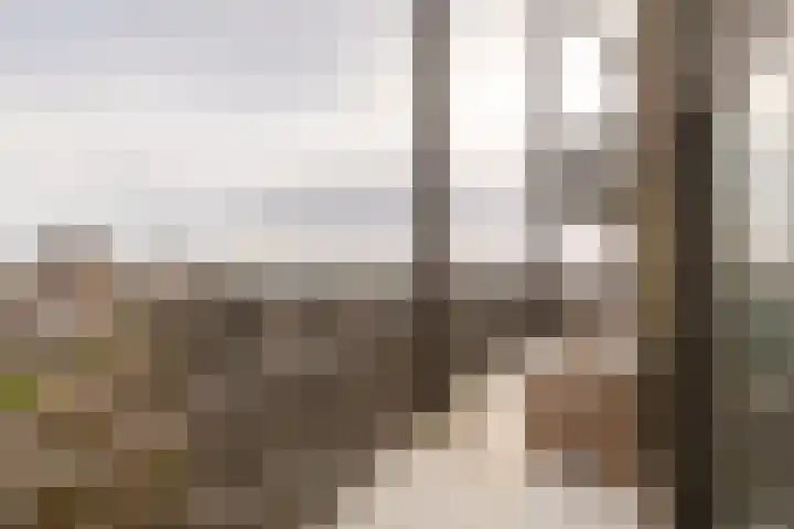 Spijkerboorweg 369 Haarlem thumbnail 4