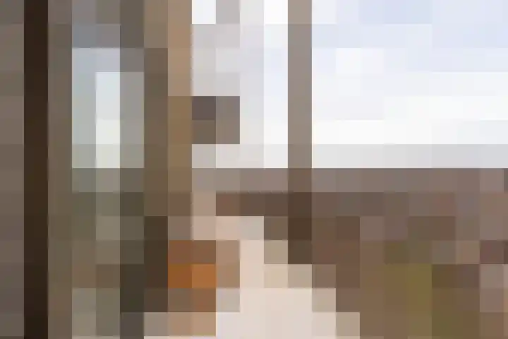 Spijkerboorweg 369 Haarlem thumbnail 8