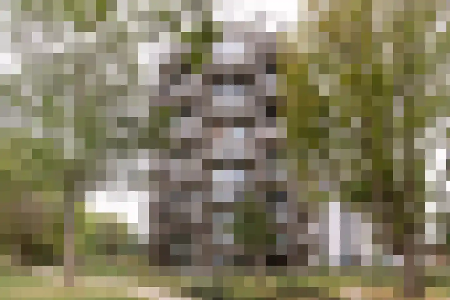 Spijkerboorweg 411 Haarlem thumbnail 28