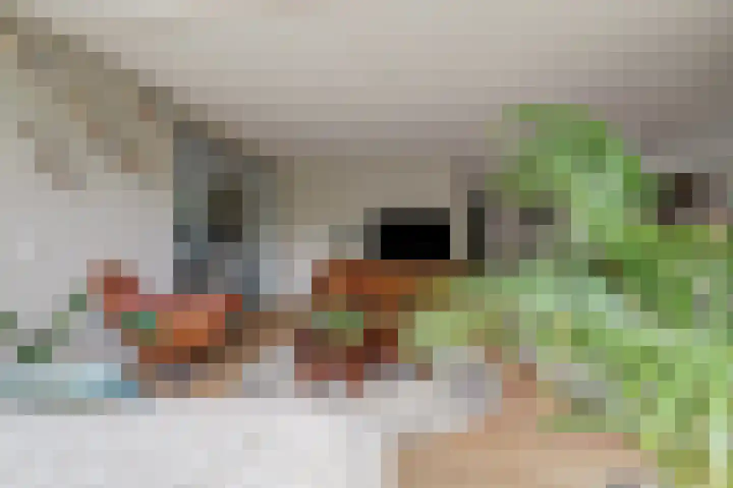 Spijkerhofdwarsweg 13 Millingen aan de Rijn thumbnail 11