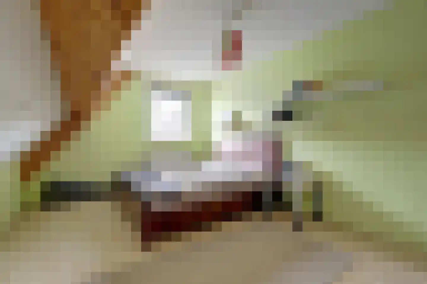 Spijkerhofdwarsweg 13 Millingen aan de Rijn thumbnail 32
