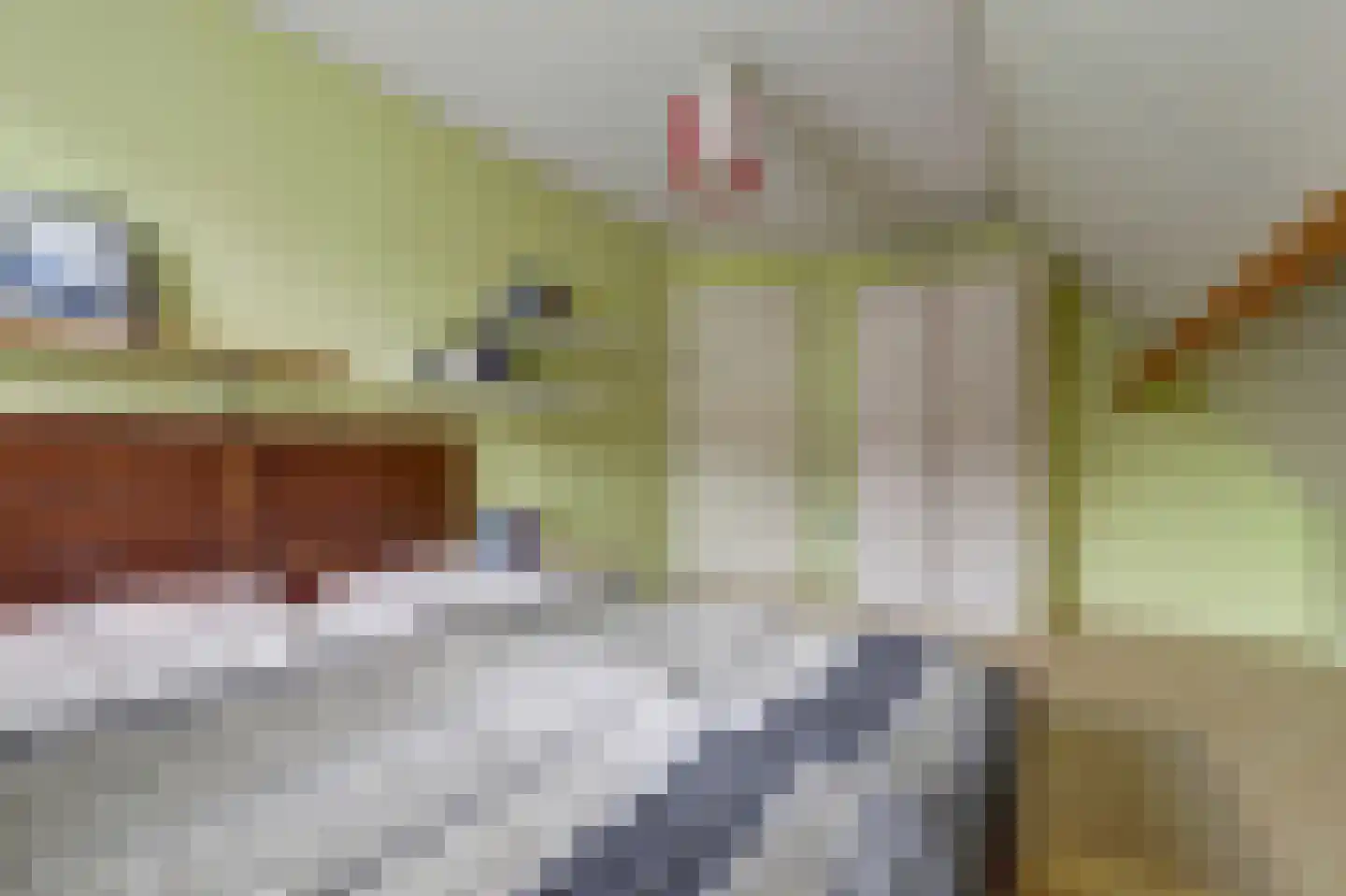 Spijkerhofdwarsweg 13 Millingen aan de Rijn thumbnail 33