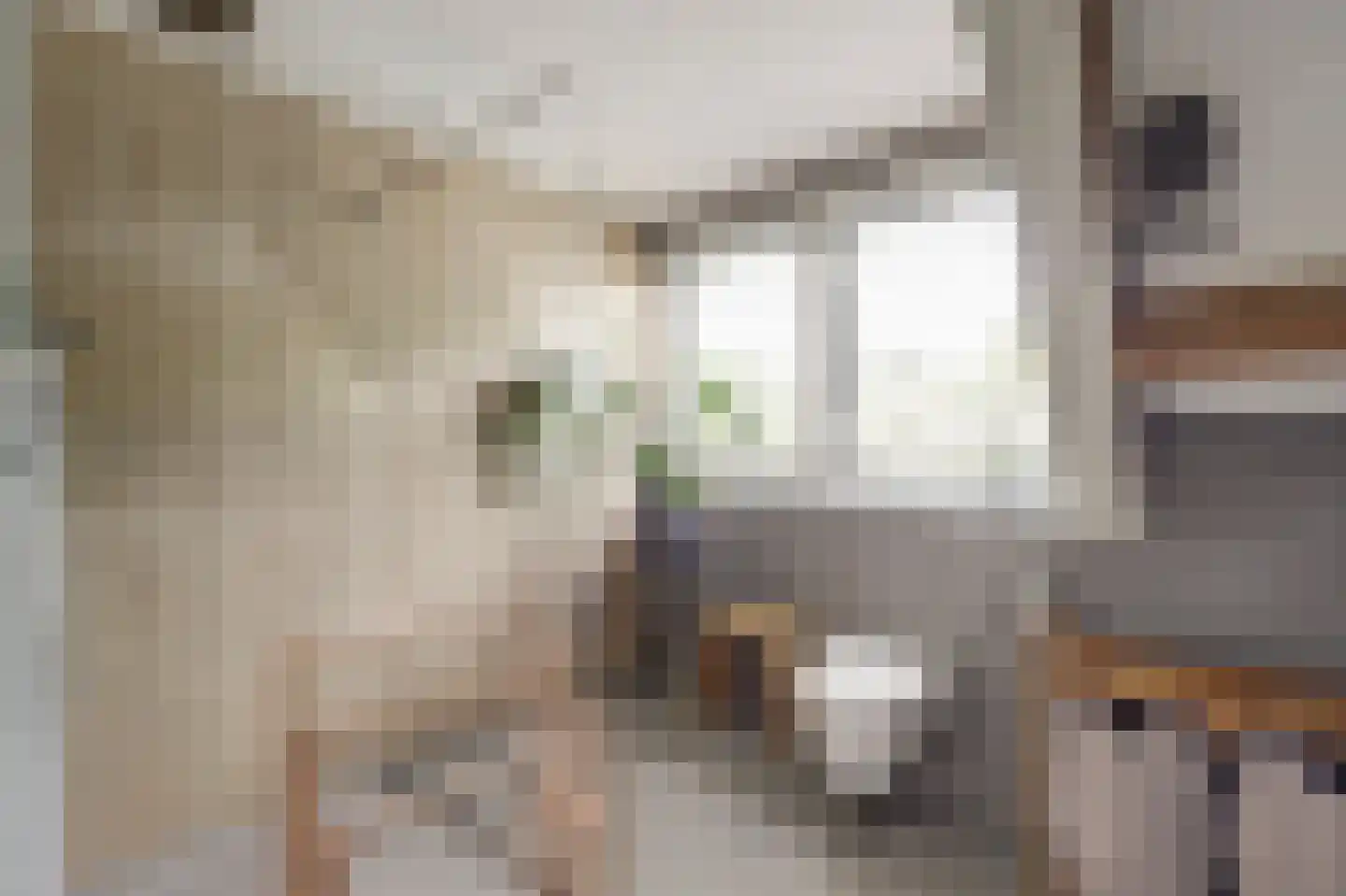 Spijkerhofdwarsweg 13 Millingen aan de Rijn thumbnail 45