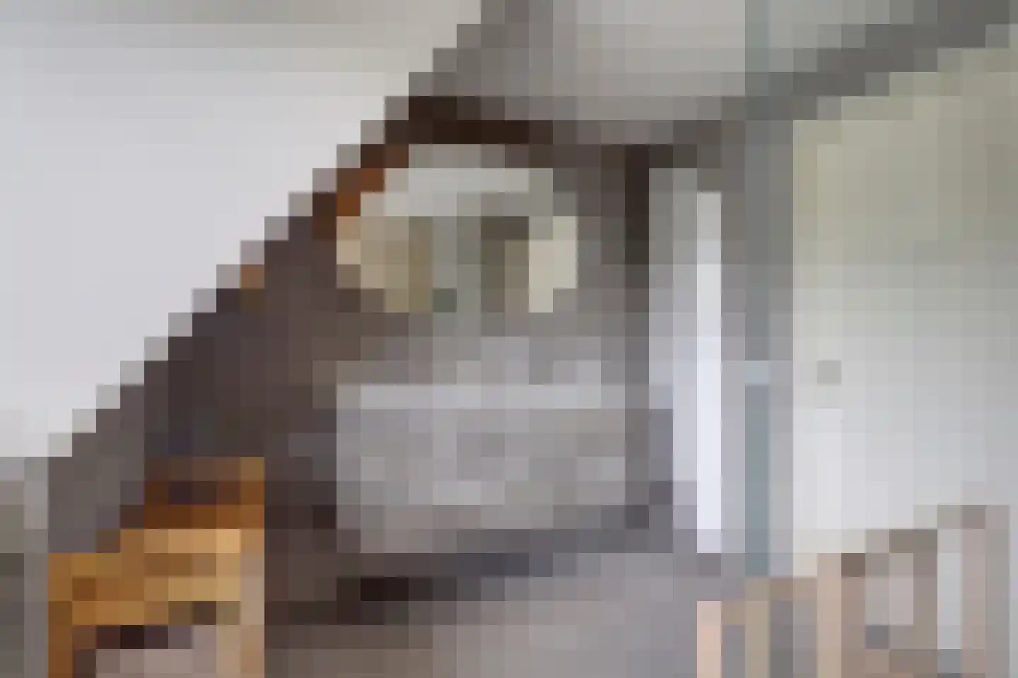 Spijkerhofdwarsweg 13 Millingen aan de Rijn thumbnail 46