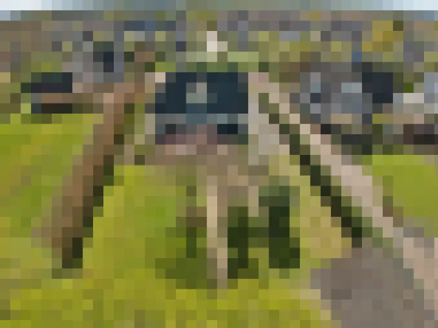Spijkerhofdwarsweg 13 Millingen aan de Rijn thumbnail 5