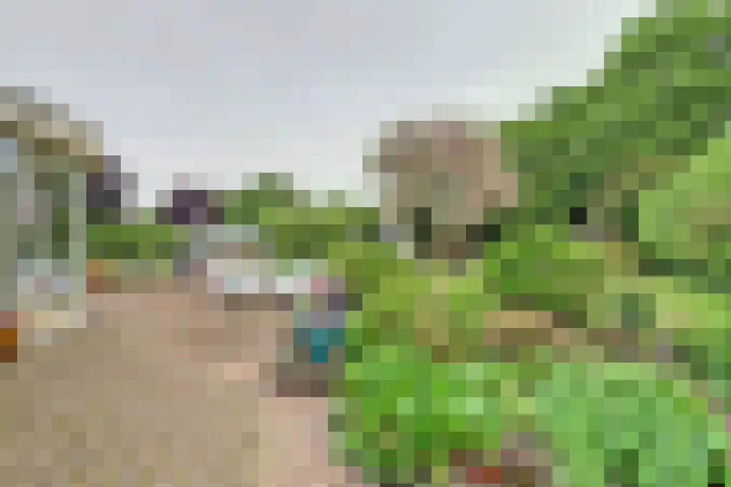 Spijkerhofdwarsweg 13 Millingen aan de Rijn thumbnail 52