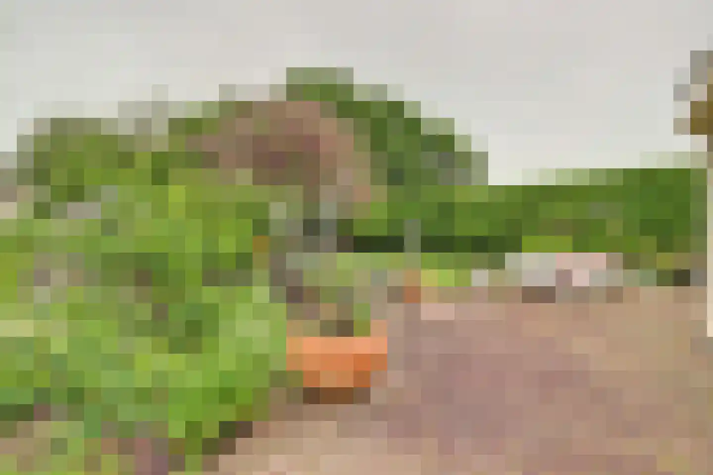 Spijkerhofdwarsweg 13 Millingen aan de Rijn thumbnail 54