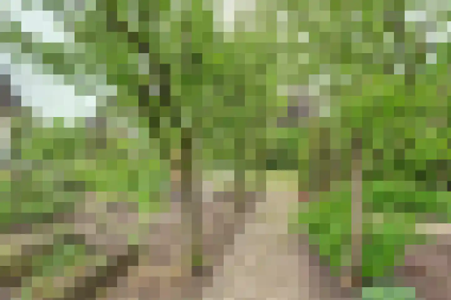 Spijkerhofdwarsweg 13 Millingen aan de Rijn thumbnail 55