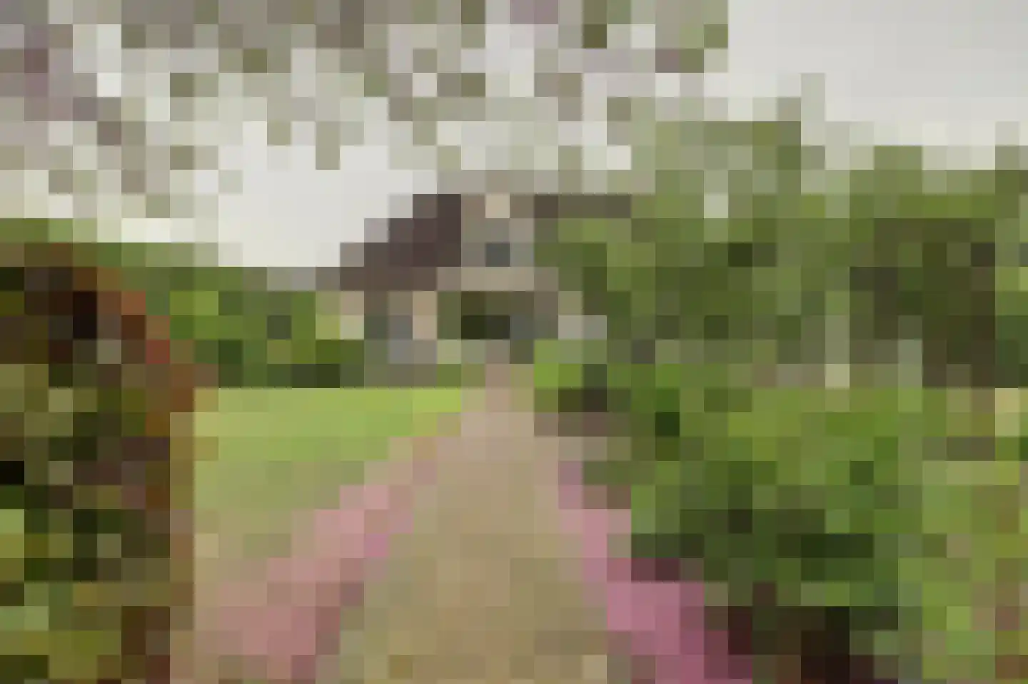 Spijkerhofdwarsweg 13 Millingen aan de Rijn thumbnail 56