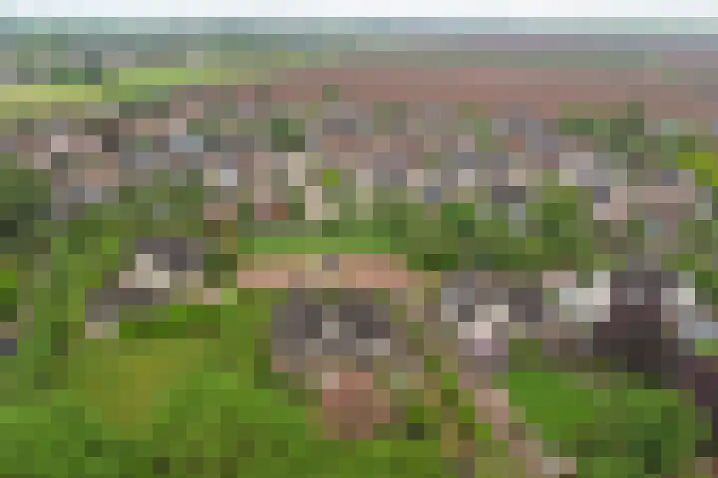Spijkerhofdwarsweg 13 Millingen aan de Rijn thumbnail 69