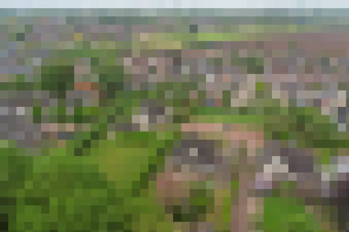 Spijkerhofdwarsweg 13 Millingen aan de Rijn thumbnail 70