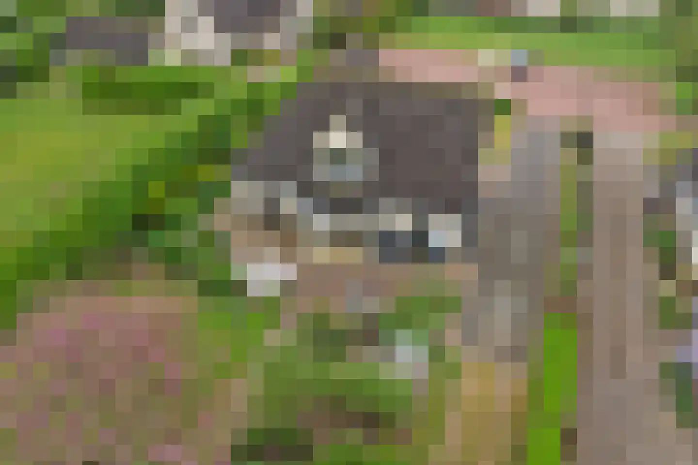 Spijkerhofdwarsweg 13 Millingen aan de Rijn thumbnail 71