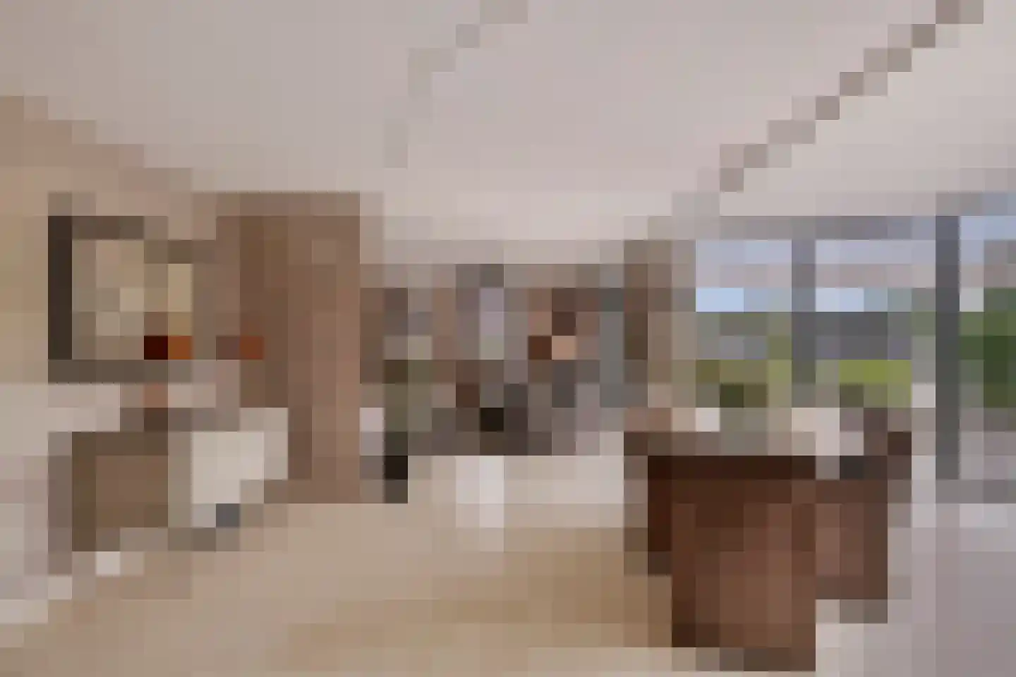 Spijkerhofdwarsweg 7 Millingen aan de Rijn thumbnail 11