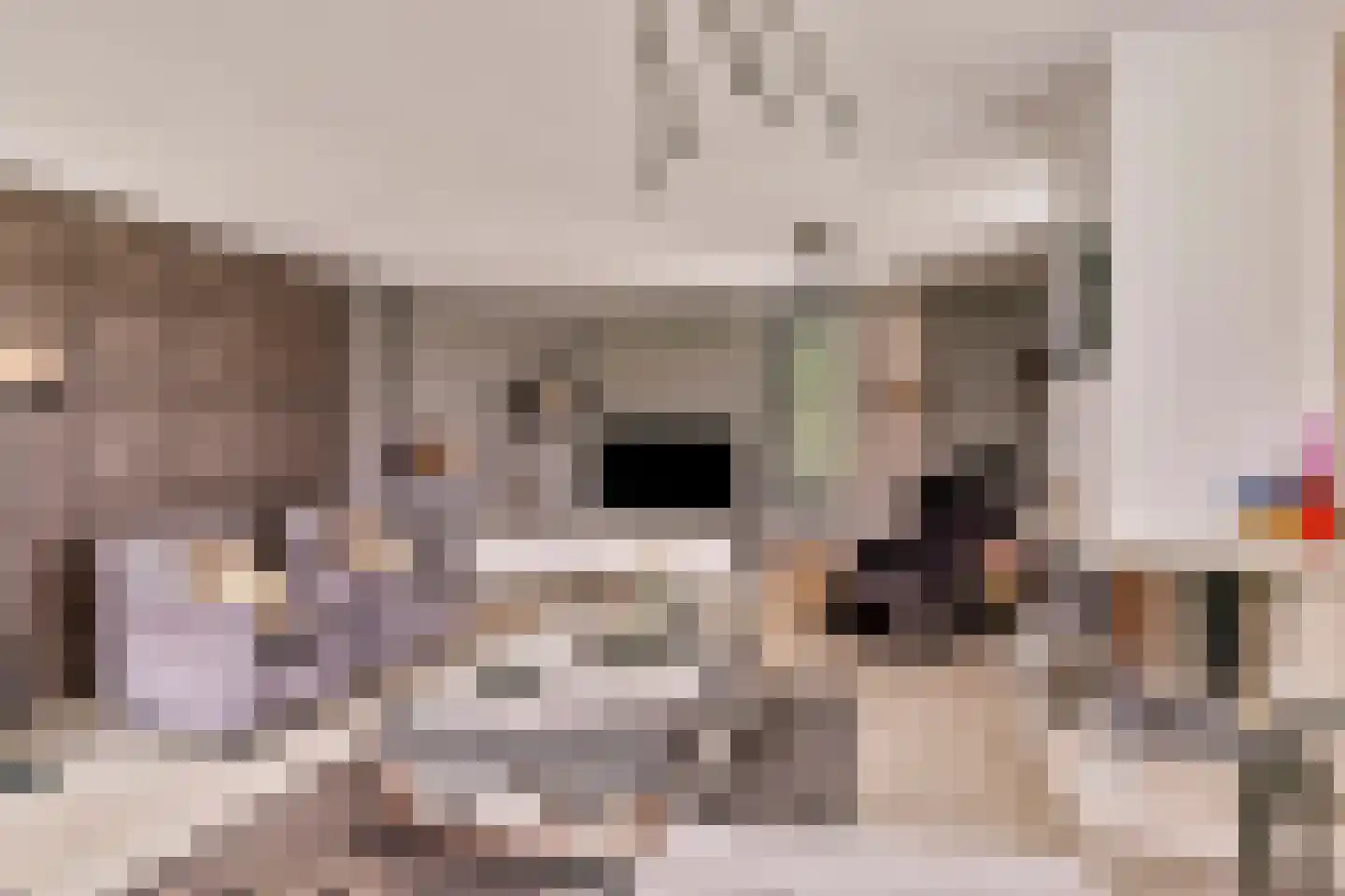Spijkerhofdwarsweg 7 Millingen aan de Rijn thumbnail 12