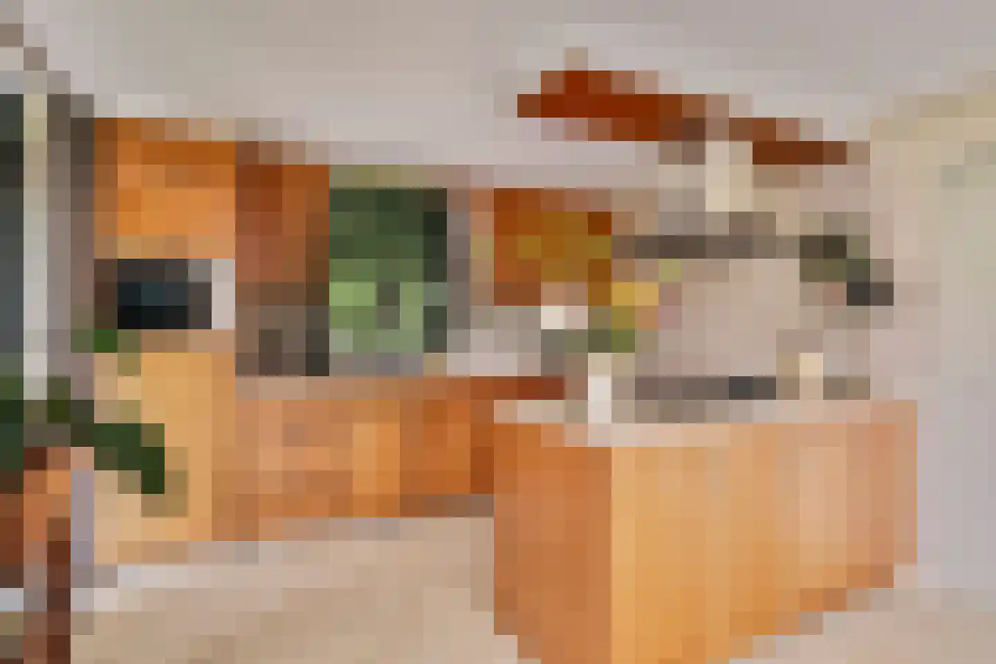 Spijkerhofdwarsweg 7 Millingen aan de Rijn thumbnail 14