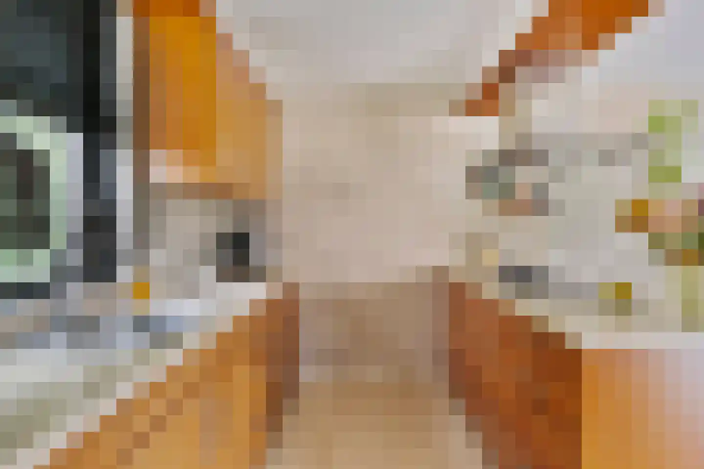 Spijkerhofdwarsweg 7 Millingen aan de Rijn thumbnail 15