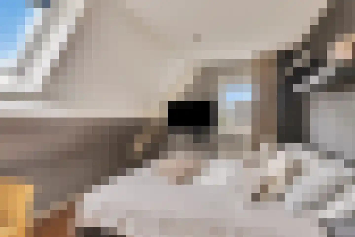 Spijkerhofdwarsweg 7 Millingen aan de Rijn thumbnail 24