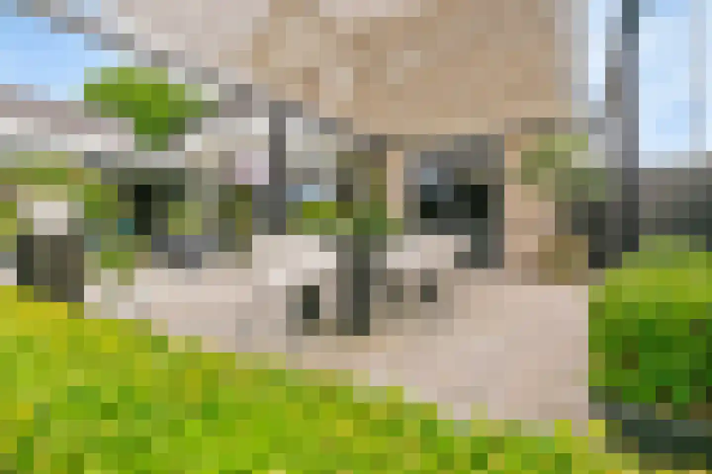 Spijkerhofdwarsweg 7 Millingen aan de Rijn thumbnail 29