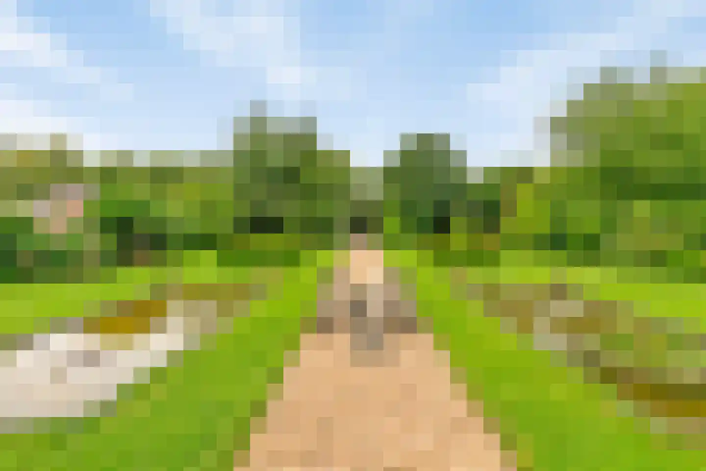 Spijkerhofdwarsweg 7 Millingen aan de Rijn thumbnail 30