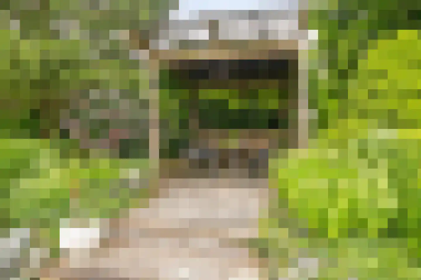 Spijkerhofdwarsweg 7 Millingen aan de Rijn thumbnail 31