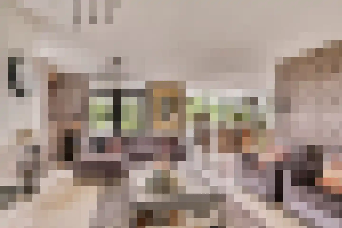 Spijkerhofdwarsweg 7 Millingen aan de Rijn thumbnail 4