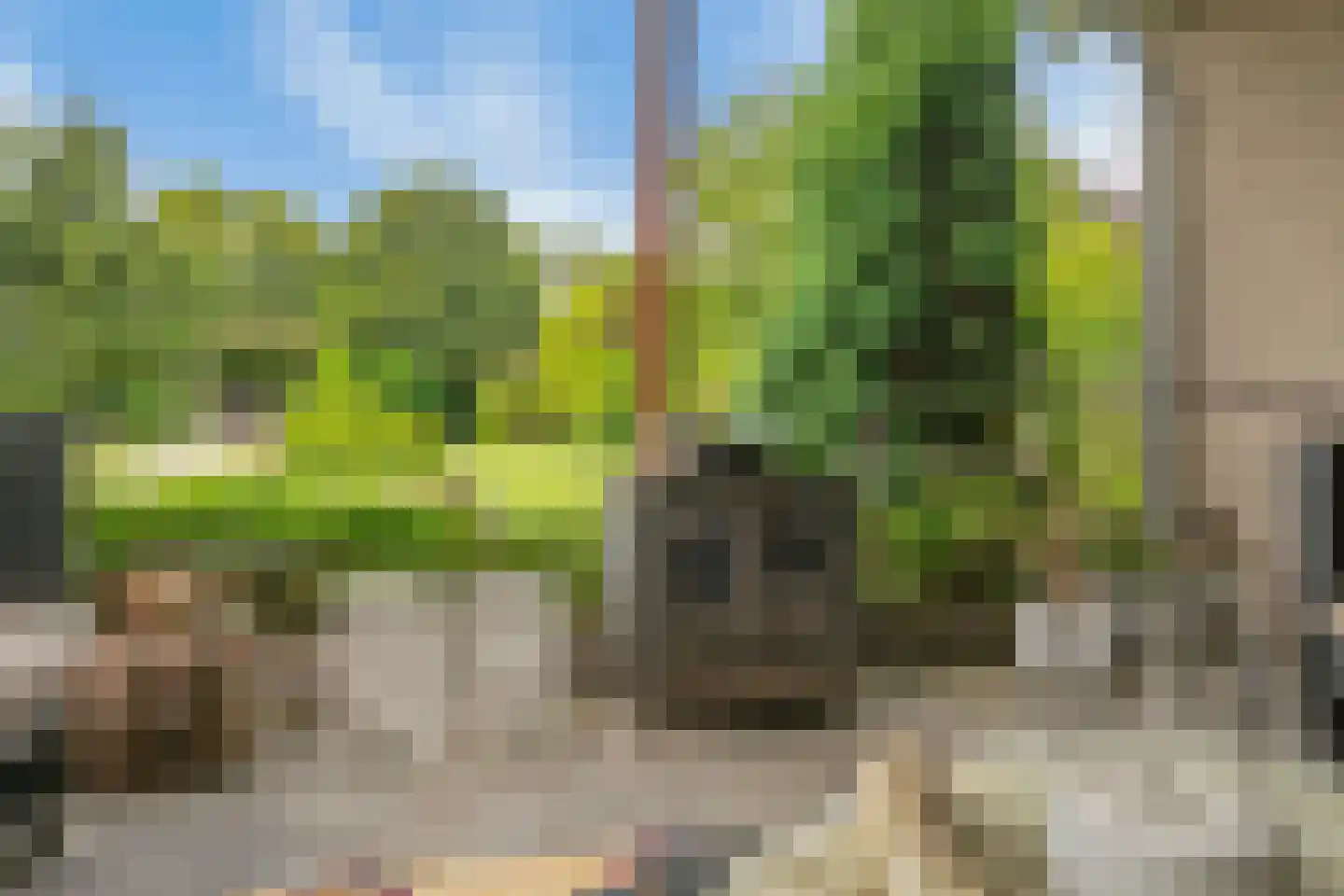 Spijkerhofdwarsweg 7 Millingen aan de Rijn thumbnail 5