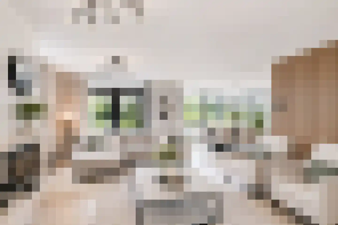 Spijkerhofdwarsweg 7 Millingen aan de Rijn thumbnail 5