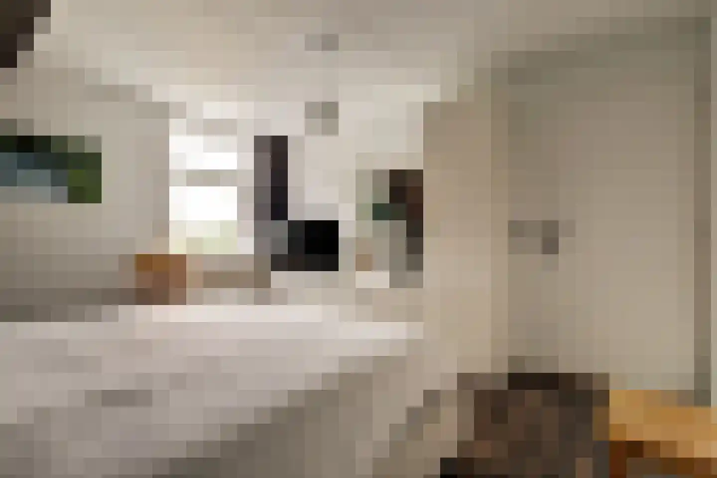 Spijkerhofweg 10 Millingen aan de Rijn thumbnail 31