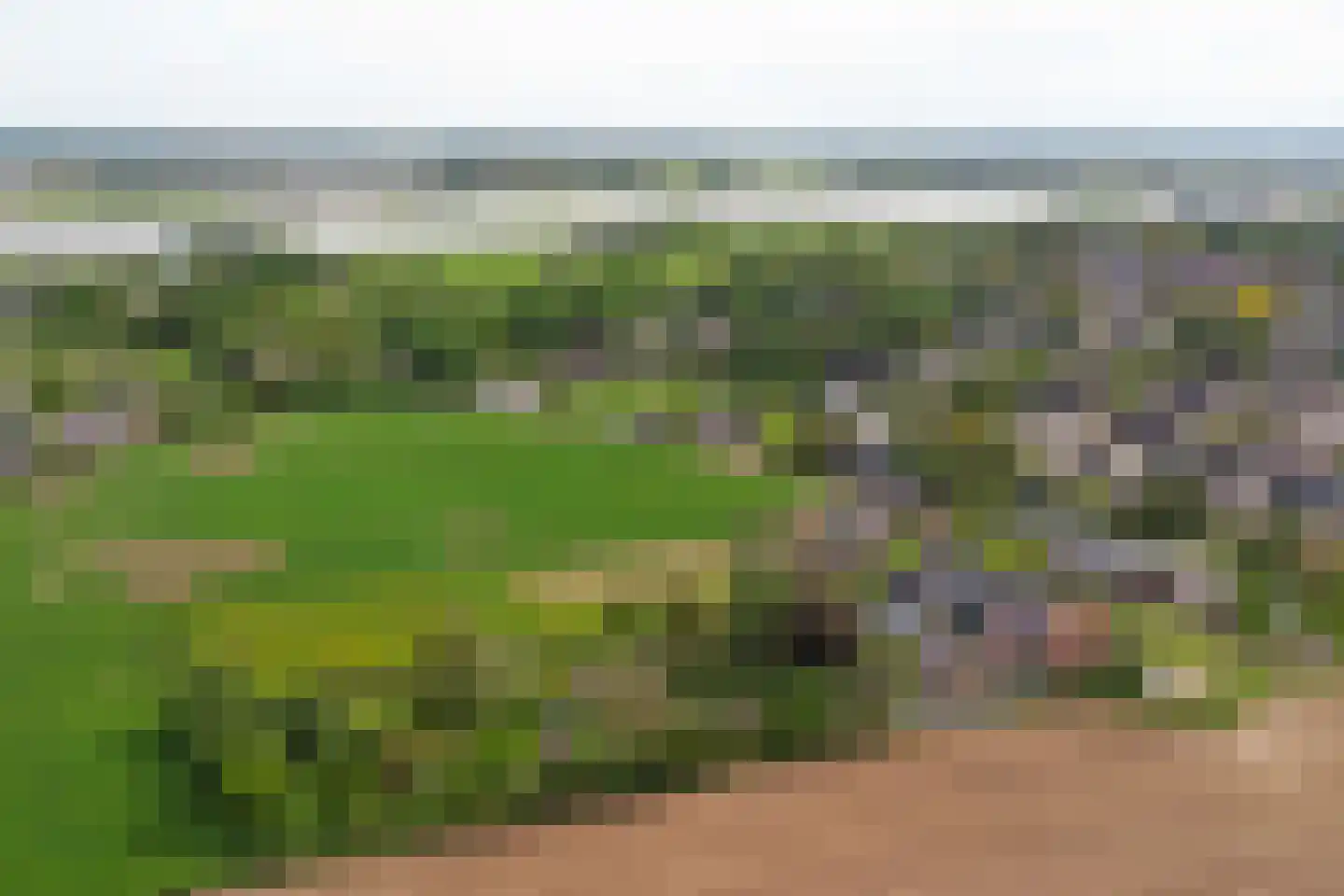 Spijkerhofweg 10 Millingen aan de Rijn thumbnail 4