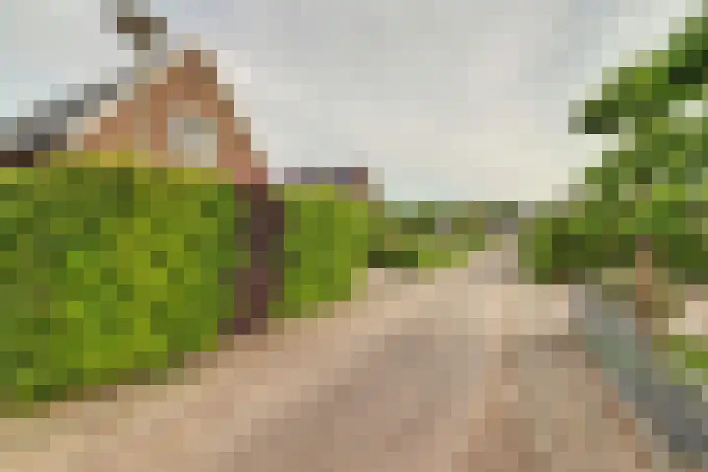 Spijkerhofweg 10 Millingen aan de Rijn thumbnail 52