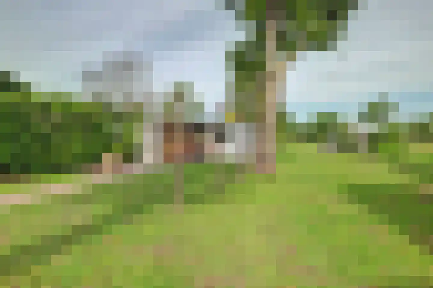 Spijkerhofweg 10 Millingen aan de Rijn thumbnail 65