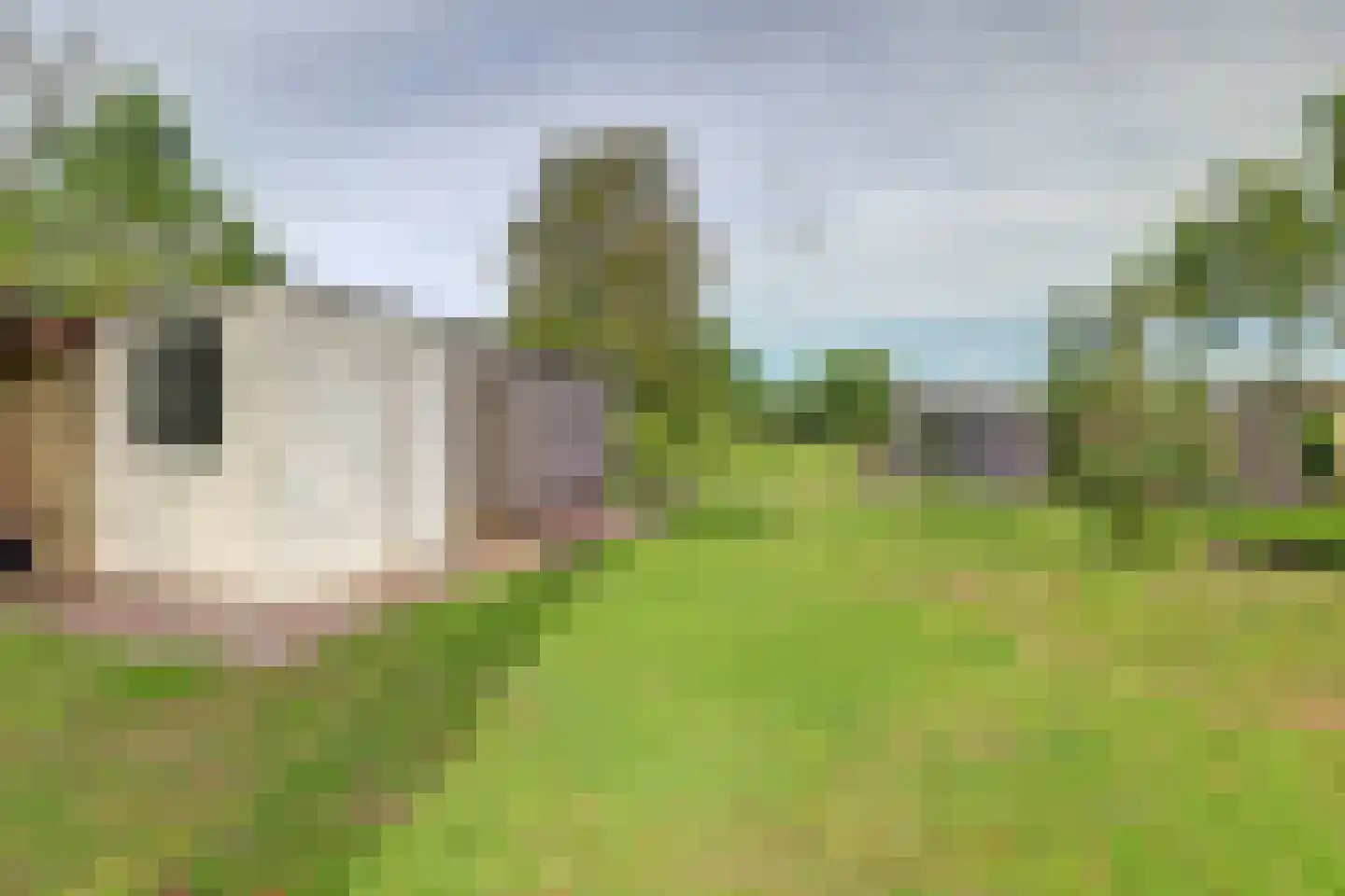 Spijkerhofweg 10 Millingen aan de Rijn thumbnail 67
