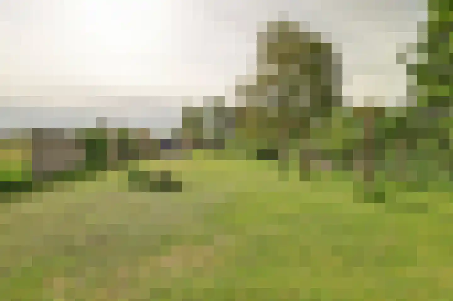 Spijkerhofweg 10 Millingen aan de Rijn thumbnail 73