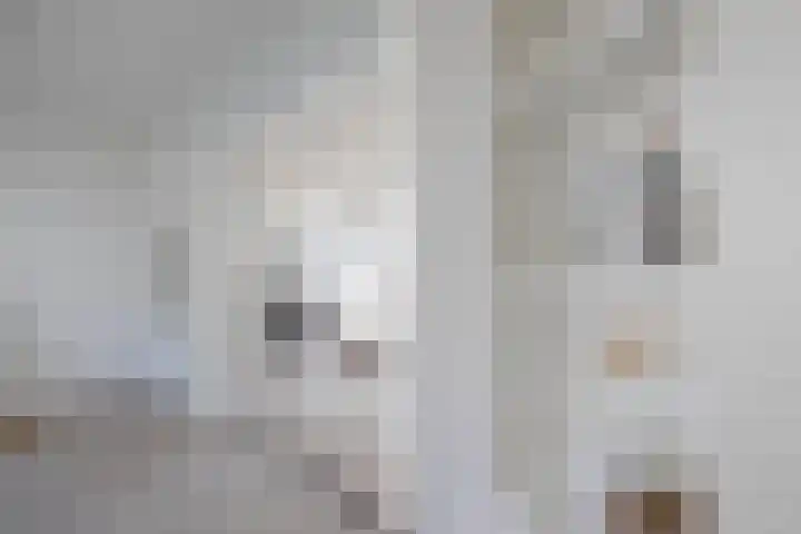 Spijkerlaan 25 1 Arnhem thumbnail 18
