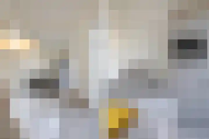 Spijkerlaan 25 1 Arnhem thumbnail 19