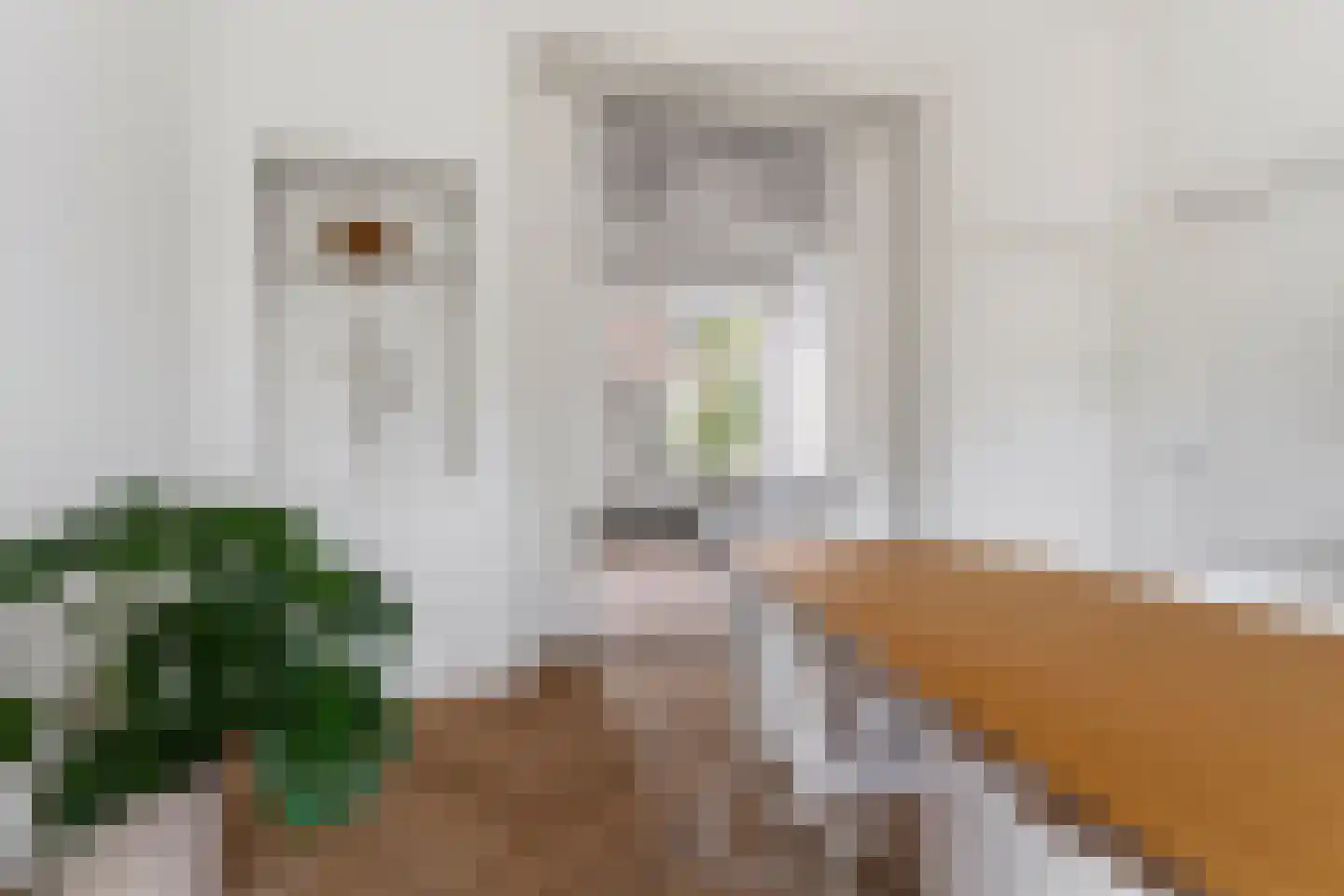 Spijkerlaan 25 1 Arnhem thumbnail 20