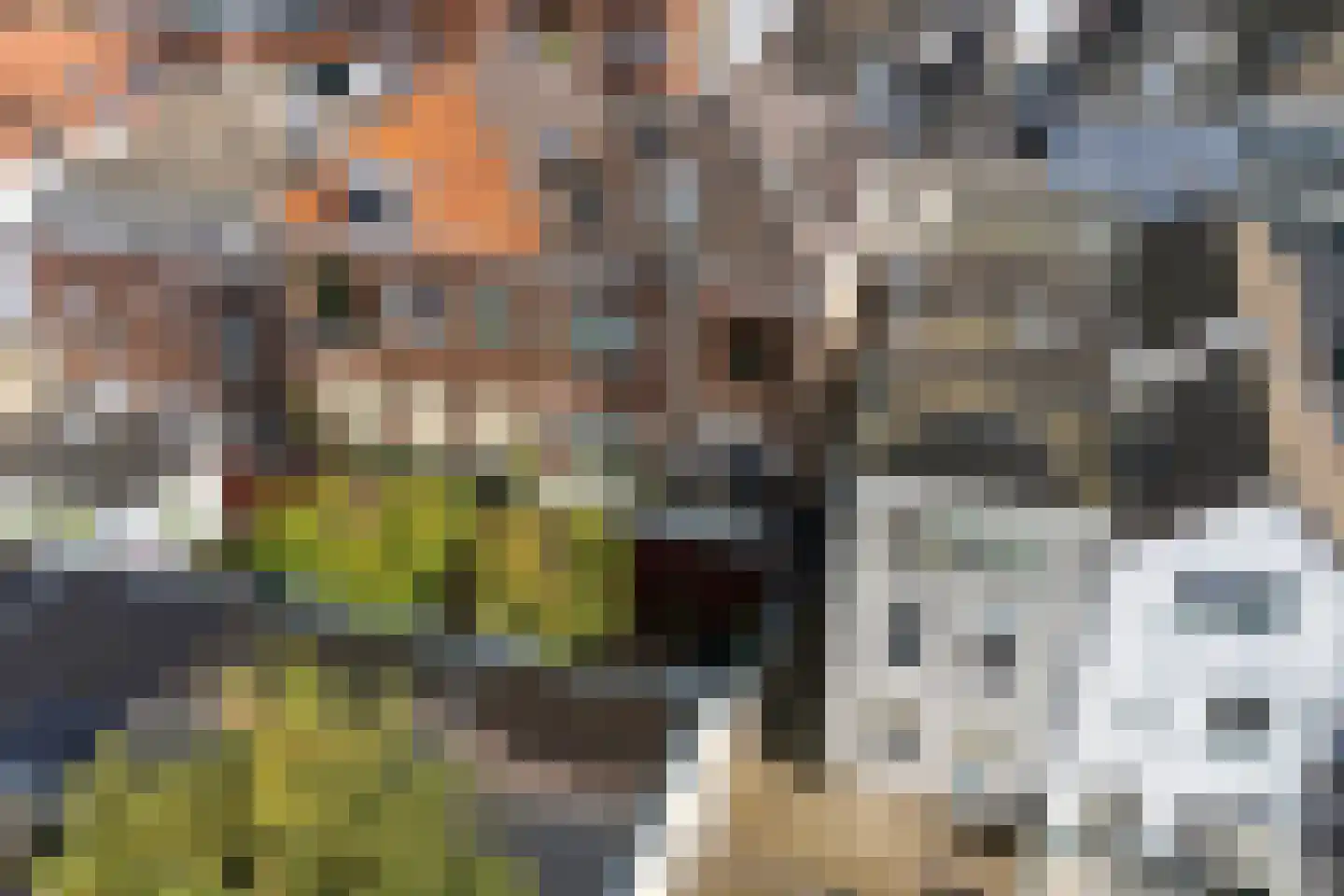 Spijkerlaan 25 1 Arnhem thumbnail 31