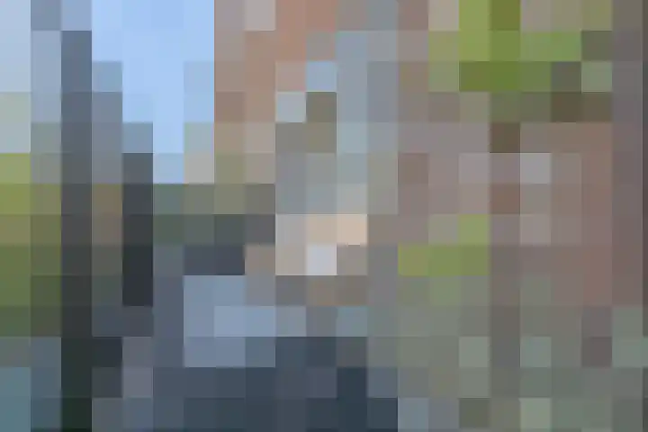 Spijkerlaan 25 1 Arnhem thumbnail 5