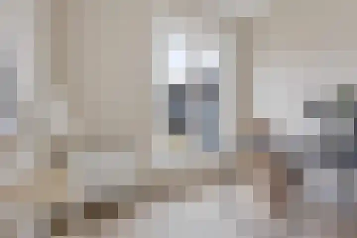 Spijkerlaan 25 2 Arnhem thumbnail 16