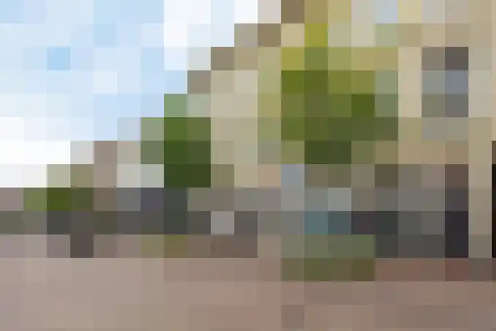 Spijkerlaan 25 2 Arnhem thumbnail 36
