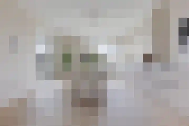 Spijkerlaan 25 2 Arnhem thumbnail 4