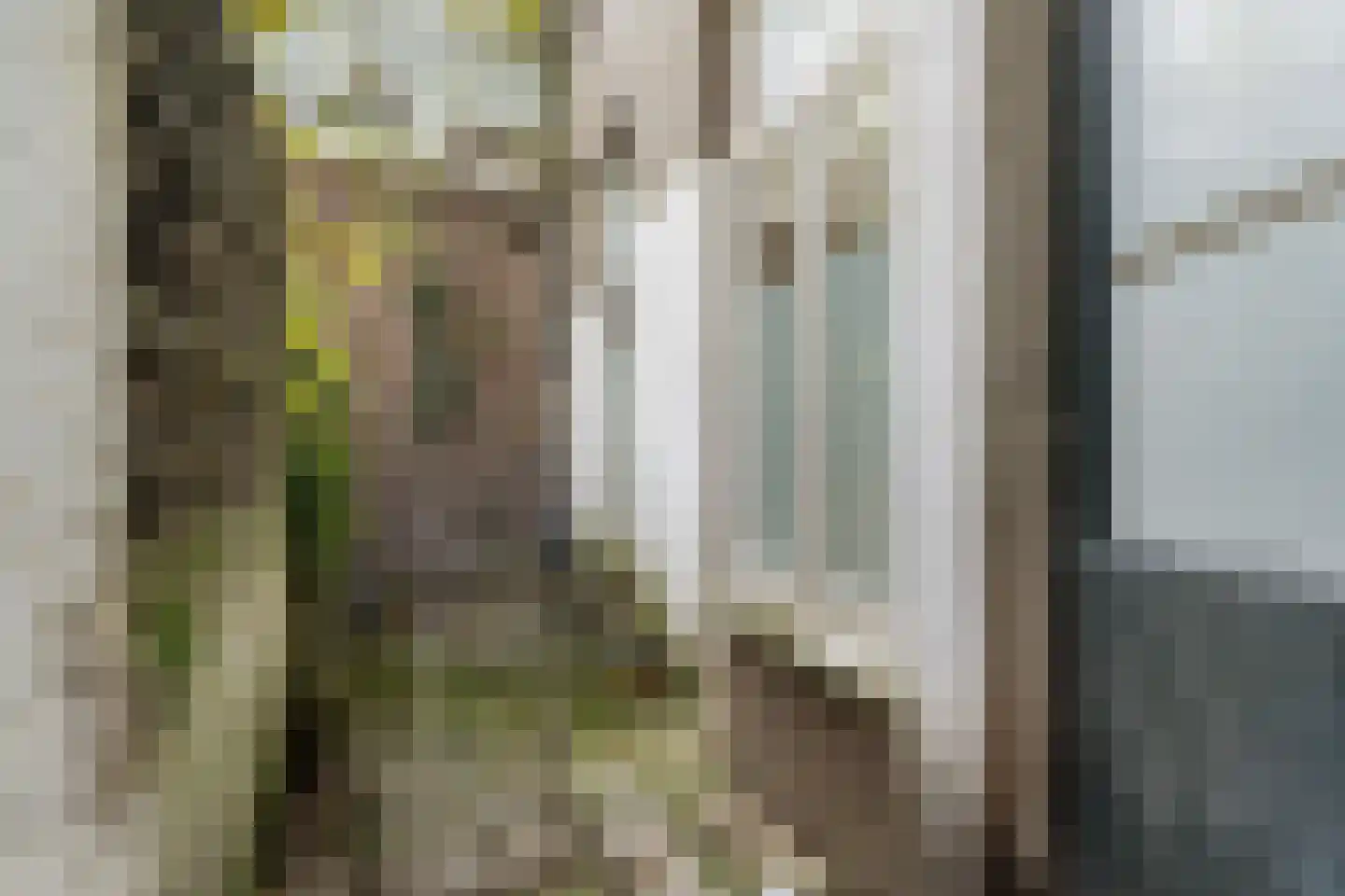 Spijkerlaan 5 Arnhem thumbnail 12