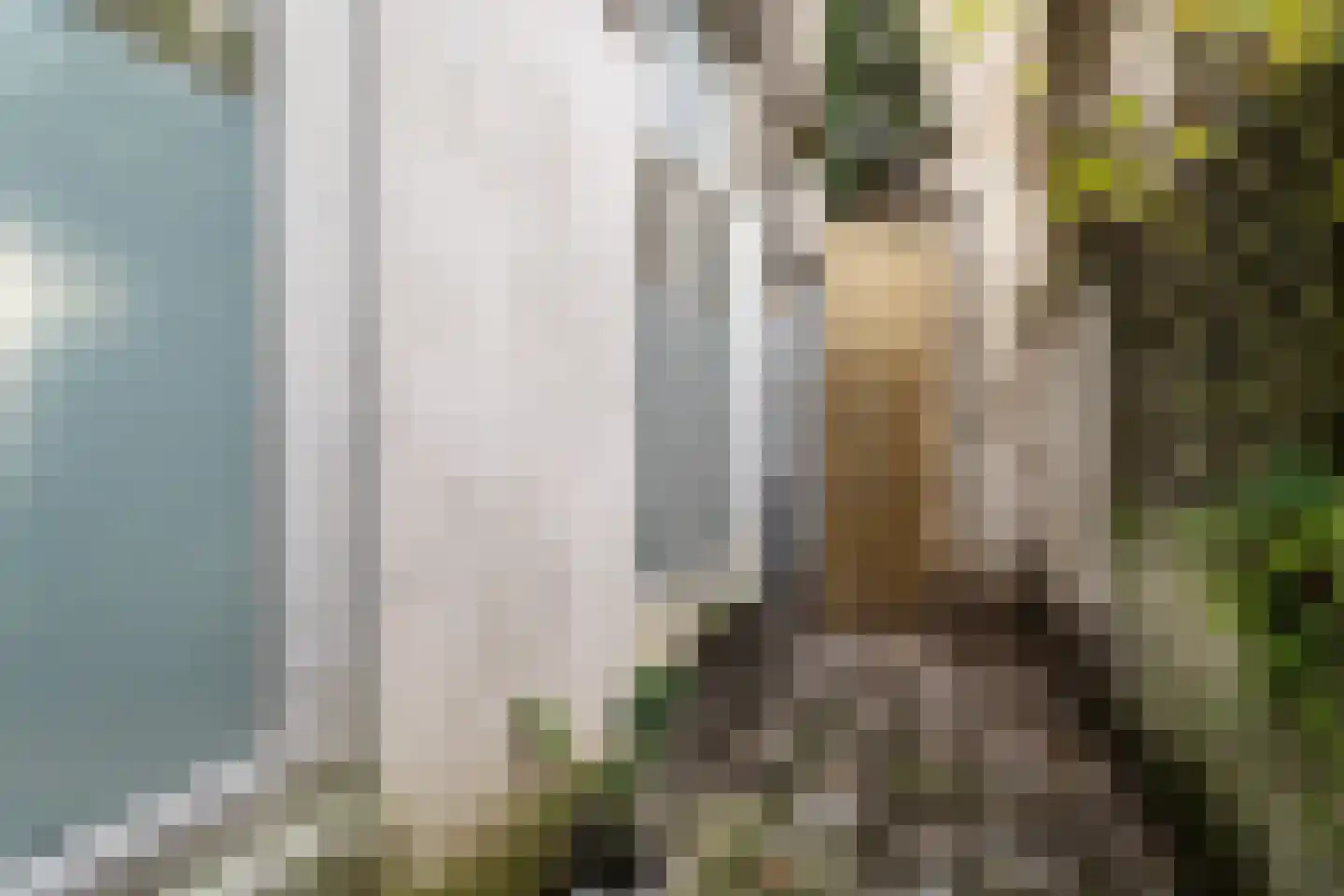 Spijkerlaan 5 Arnhem thumbnail 13