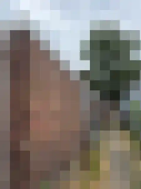 Spijkerlaan 8 Arnhem thumbnail 4