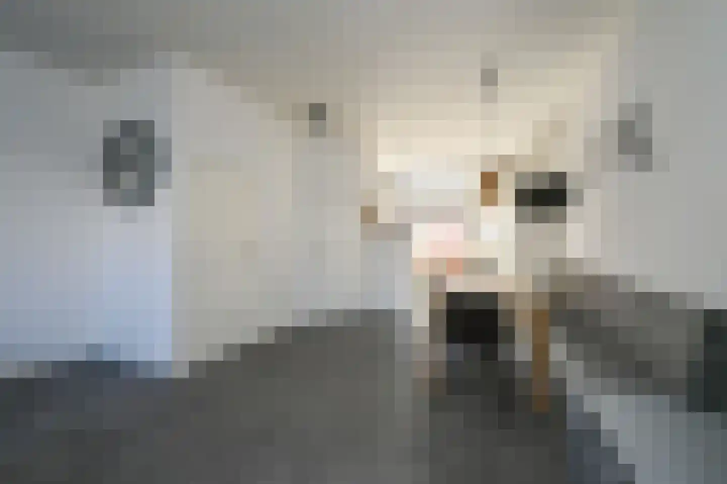 Spijkermakersstraat 3 B Den Haag thumbnail 20
