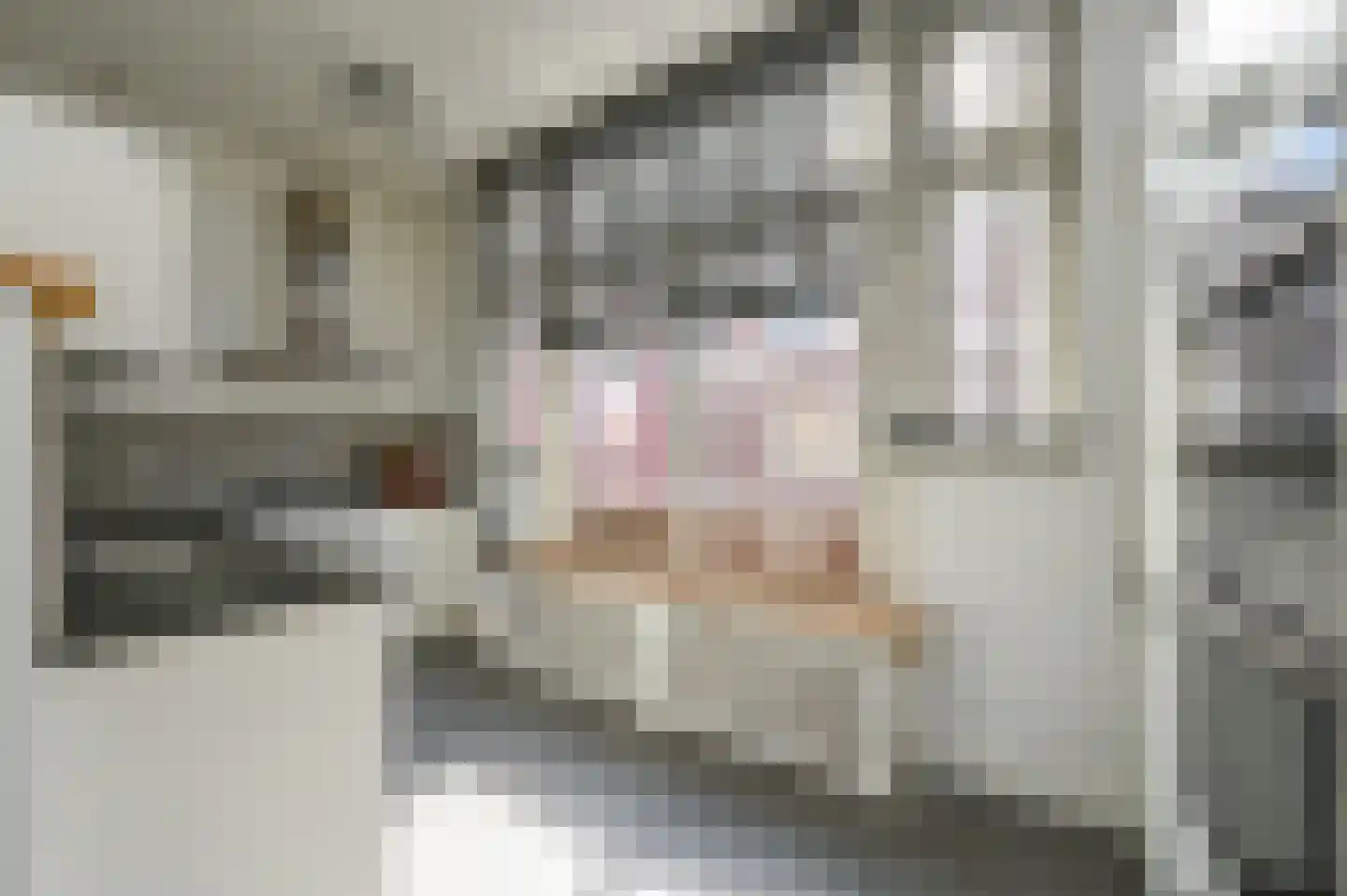 Spijkermakersstraat 3 B Den Haag thumbnail 22