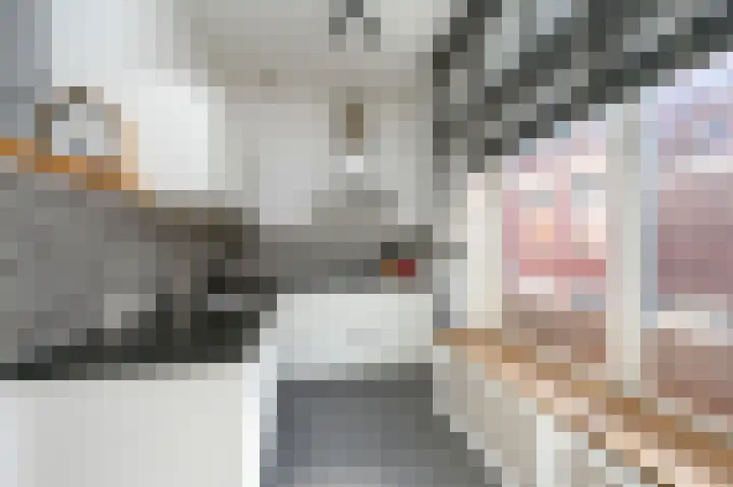 Spijkermakersstraat 3 B Den Haag thumbnail 23